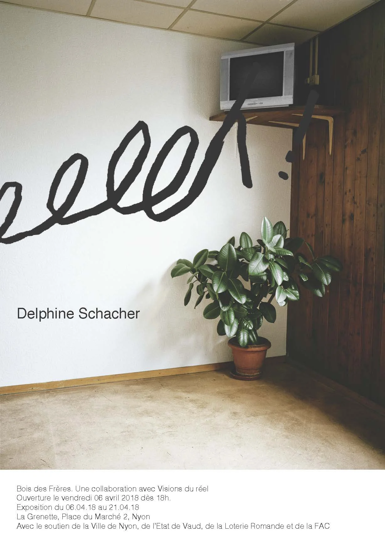 Flyer_delphine2.jpg
