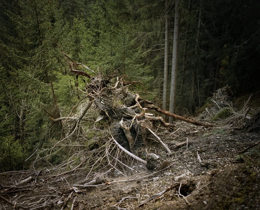 DSCHACHER_MONTAGNE_SHOW_33.jpg