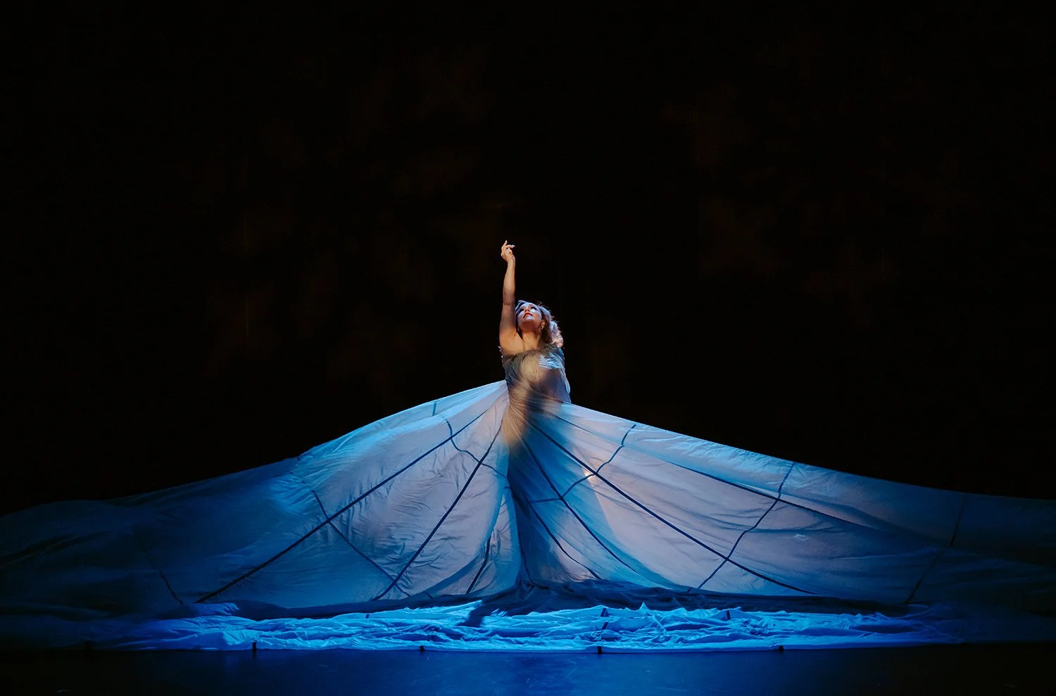 "Snow Queen" / Photo by Brendan Roy