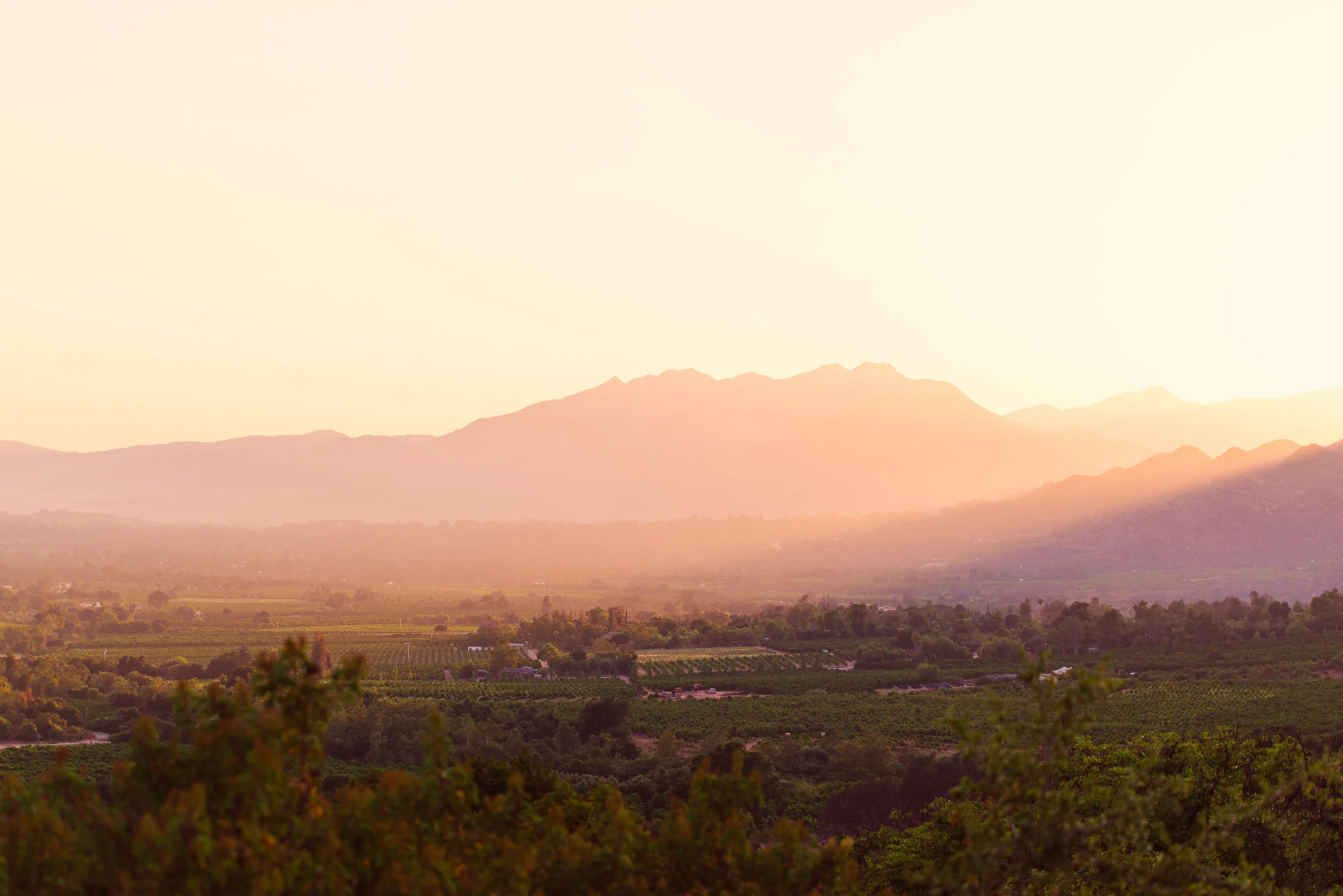 DSC_2035-Edit-2.jpg