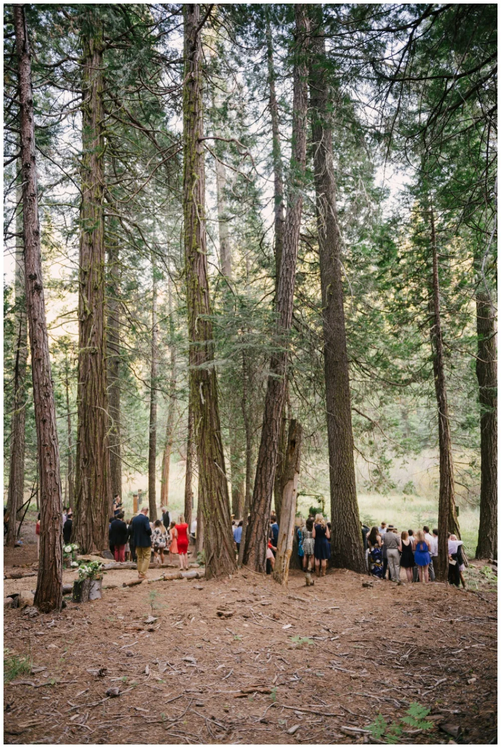 Mollie-Crutcher-Santa-Barbara-Wedding-Photographer_0414.jpg
