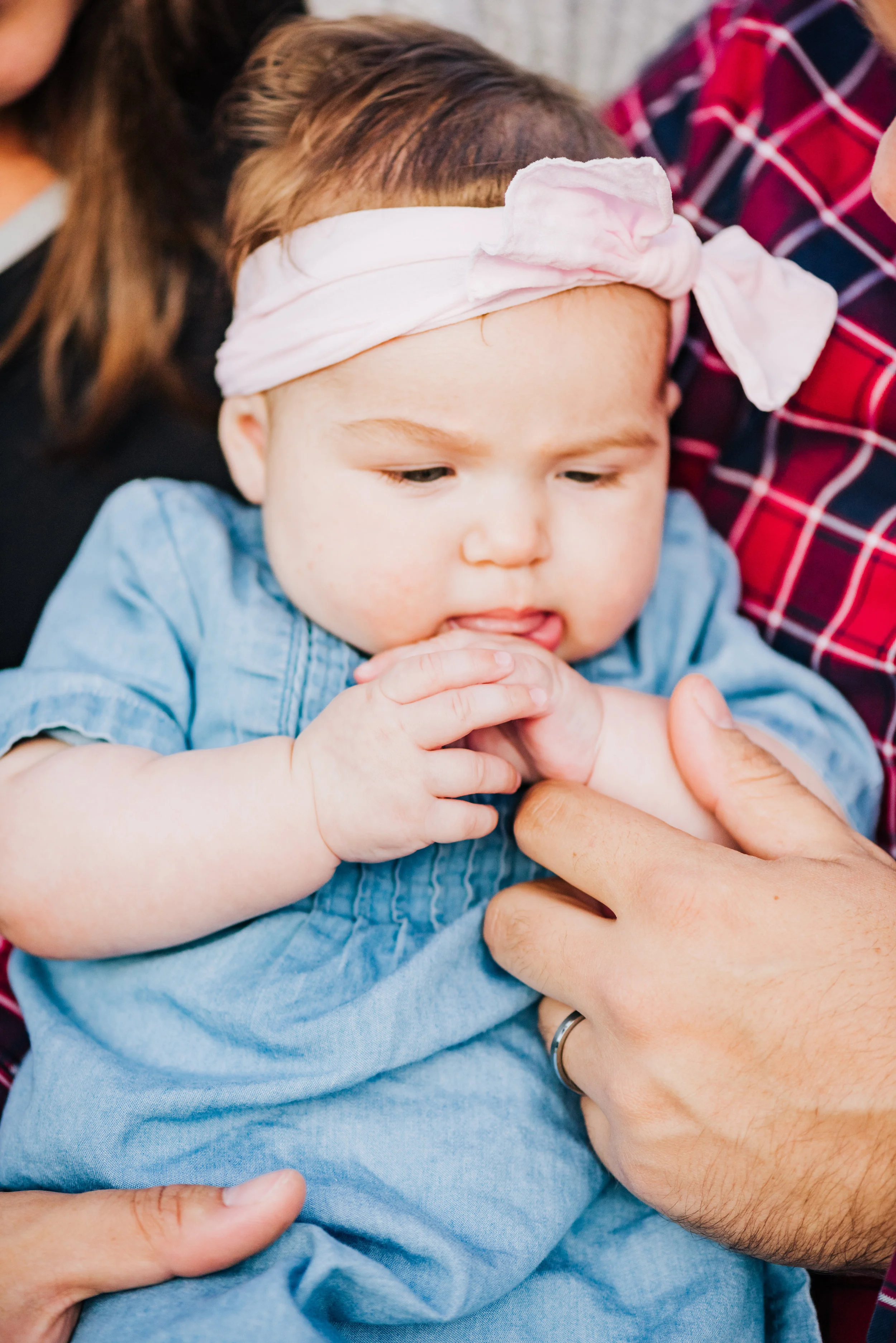 © Mollie Crutcher Photography 2018
