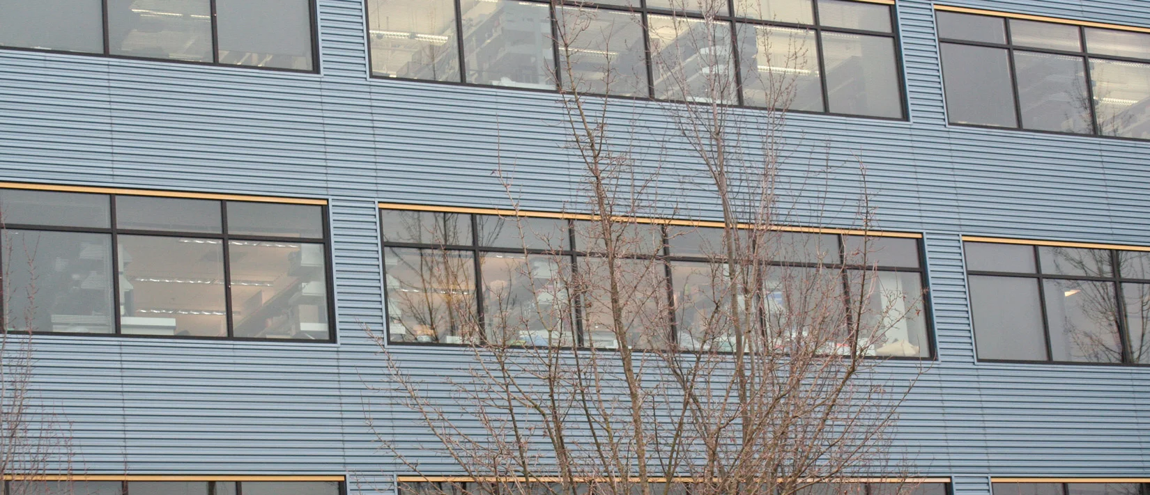 building.jpg