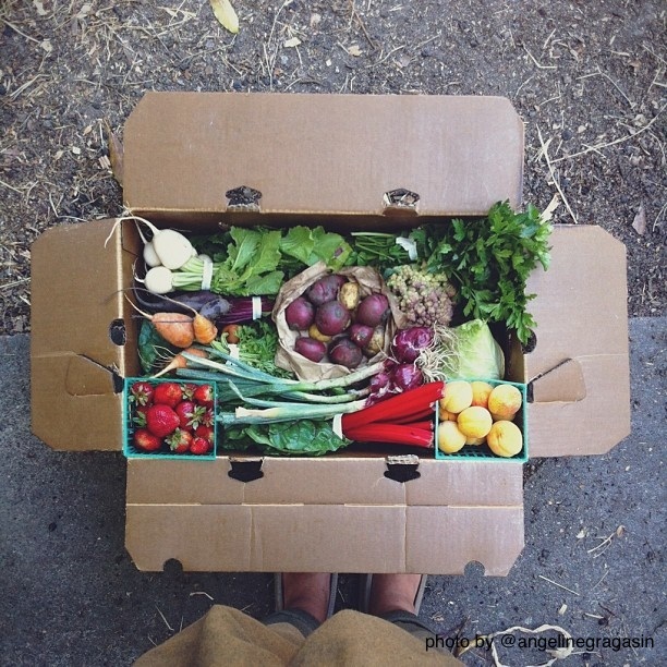 Member photo of an Eatwell Farmbox