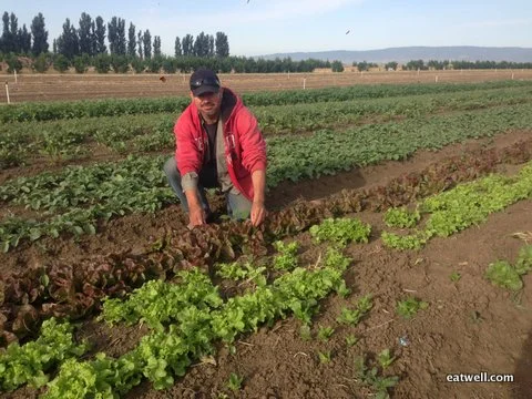 Roberto’s Summer Plantings