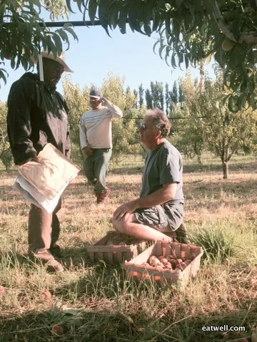 Orchard Management