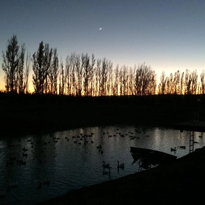 Dusk at Eatwell Farm - Winter 2014