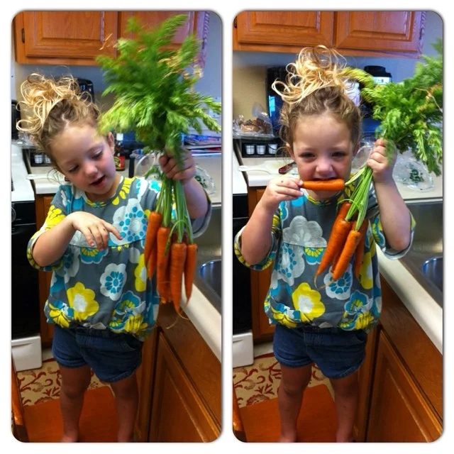 Emily's daughter, Evelyn, munches on Eatwell Farm carrots