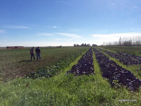Nigel and Jose walk the farm one last time before Nigel heads to UCSF for treatment.