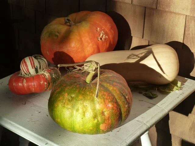 Member Testimonial - Anita & Rudi