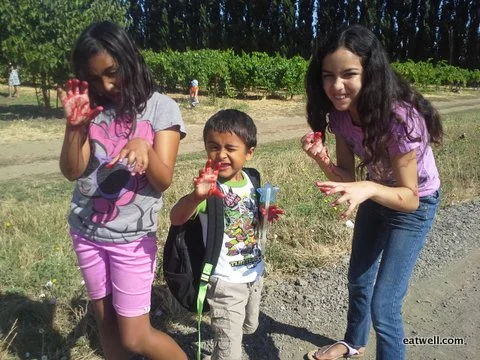 Sandy's daughter and cousins show off their berry stained fingers at an Eatwell Farm event.