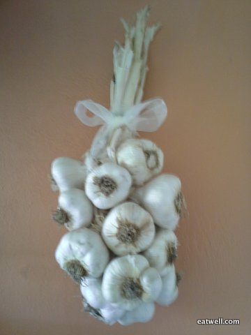 Sandy's garlic braid, hand braided at Eatwell's Summer Solstice Sleepover.