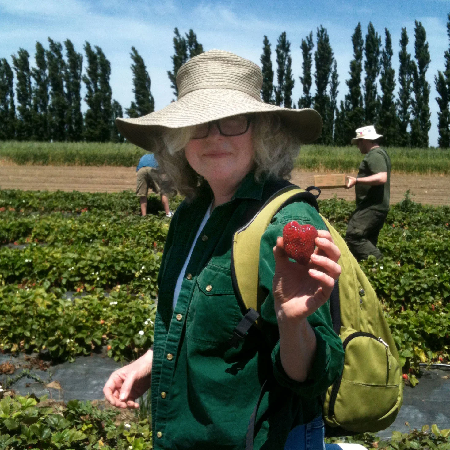 Liz picks a ripe strawberry at Eatwell Farm during a Strawberry Day event.