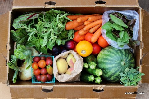 An Eatwell Farm CSA Farm Box is packed with nutrient dense, sustainably grown organic produce. Photo by Kia from WithLovely.com.
