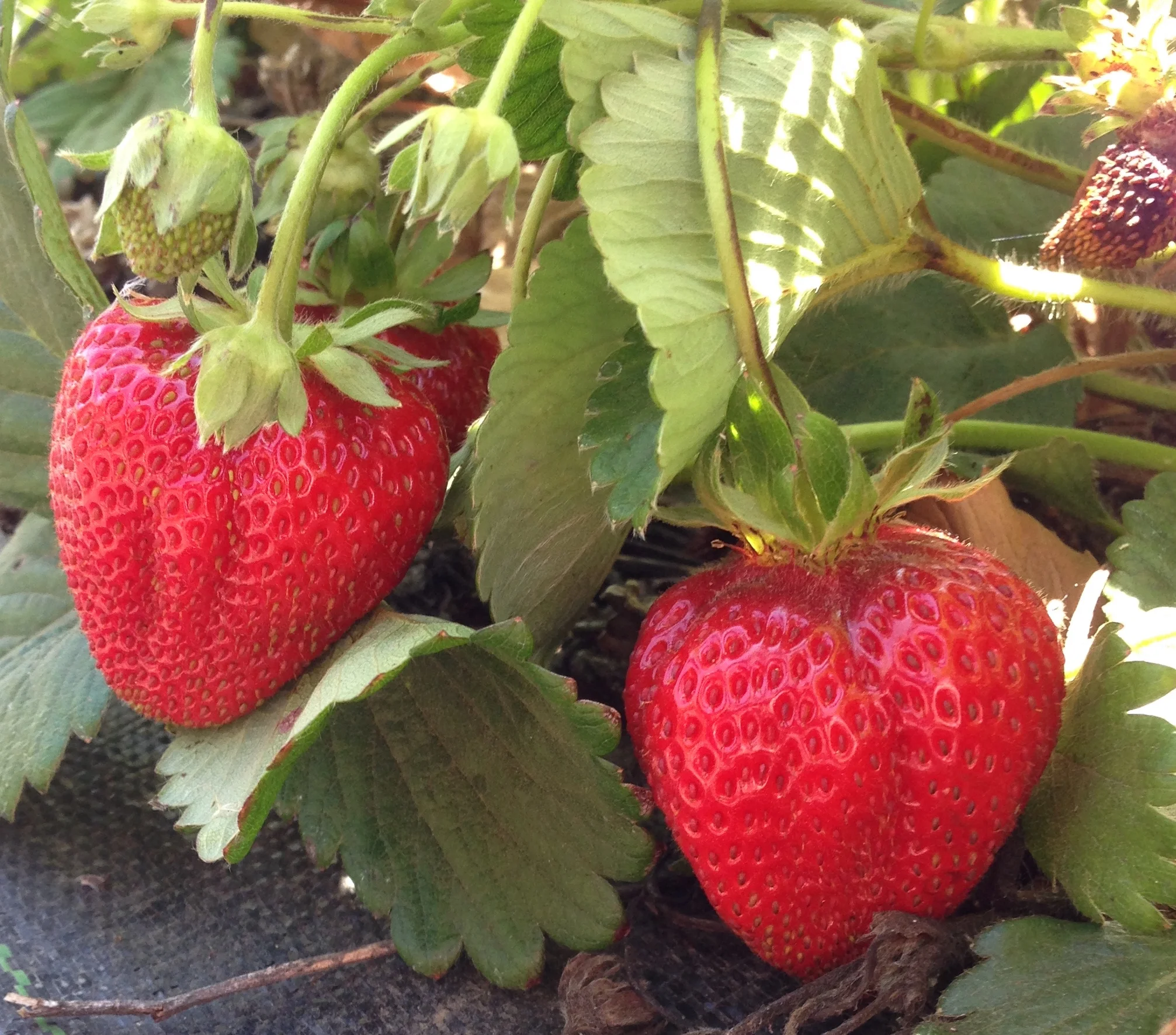 This Week's Box: April 27th - May 2nd