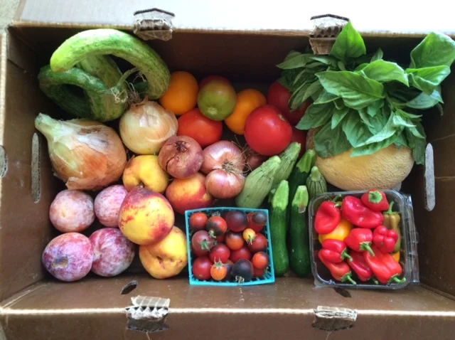 This Week's Box: July 27th - August 1st