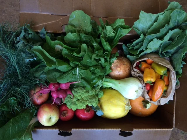 What a full box!