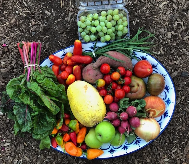 Transitional box this week. Fall veggies starting to make their way in!