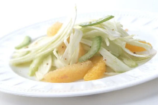 photo credit: https://www.epicurious.com/recipes/food/views/citrus-celery-and-shaved-fennel-salad-107403