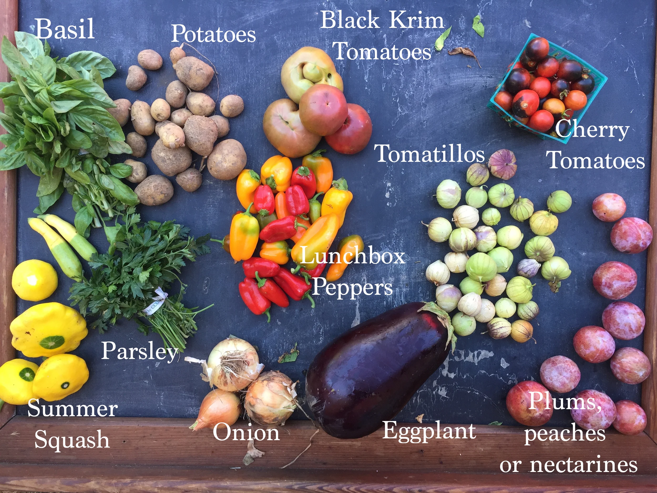 This-Week's-Box-20190819.jpg