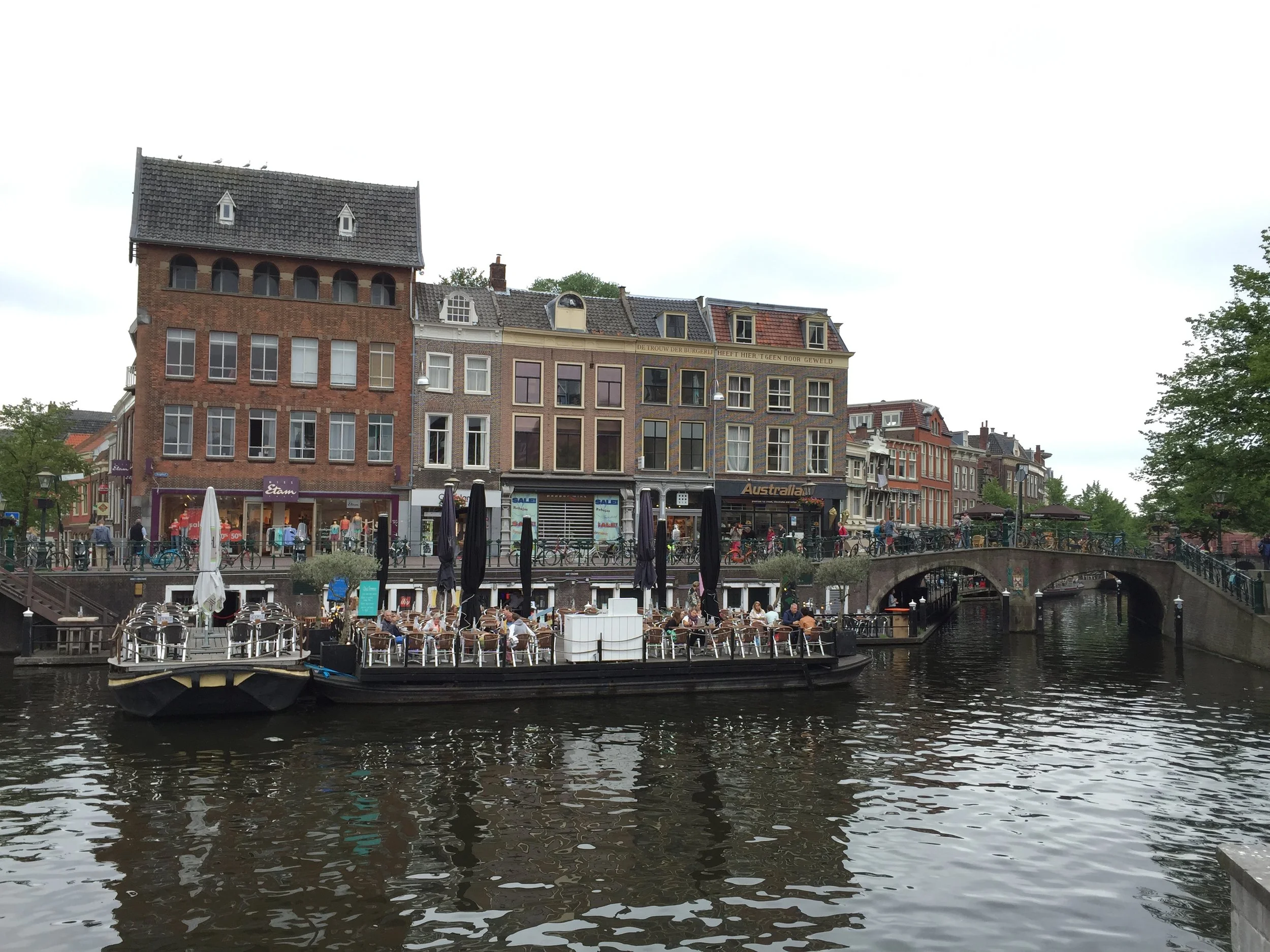 IMG_3428.JPG