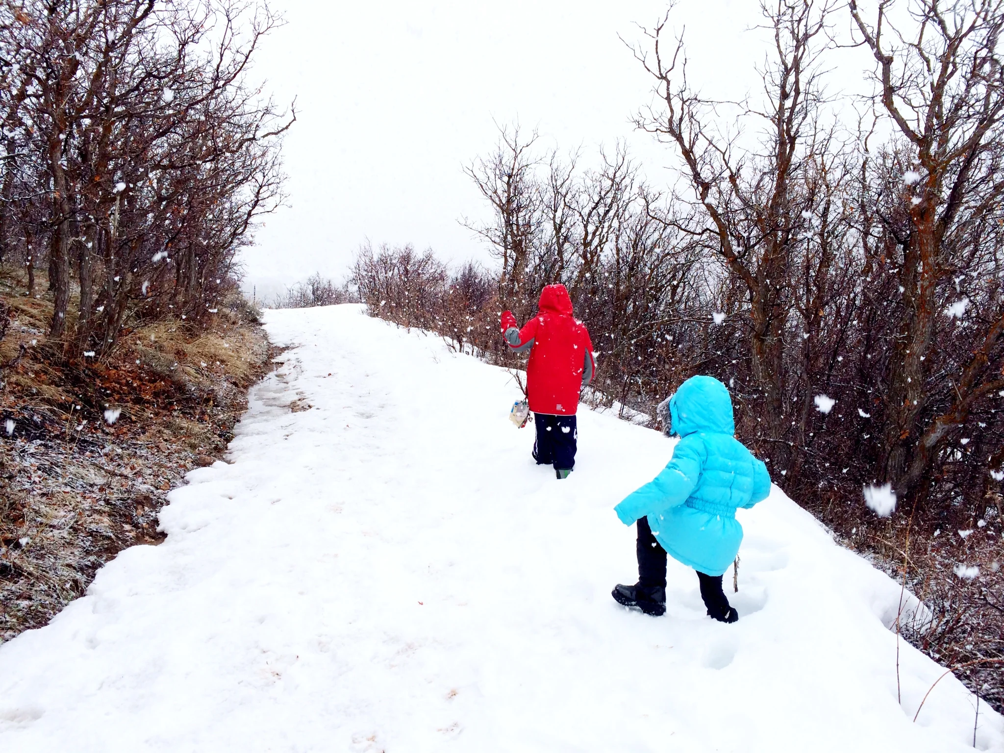 The snow flakes were huge!