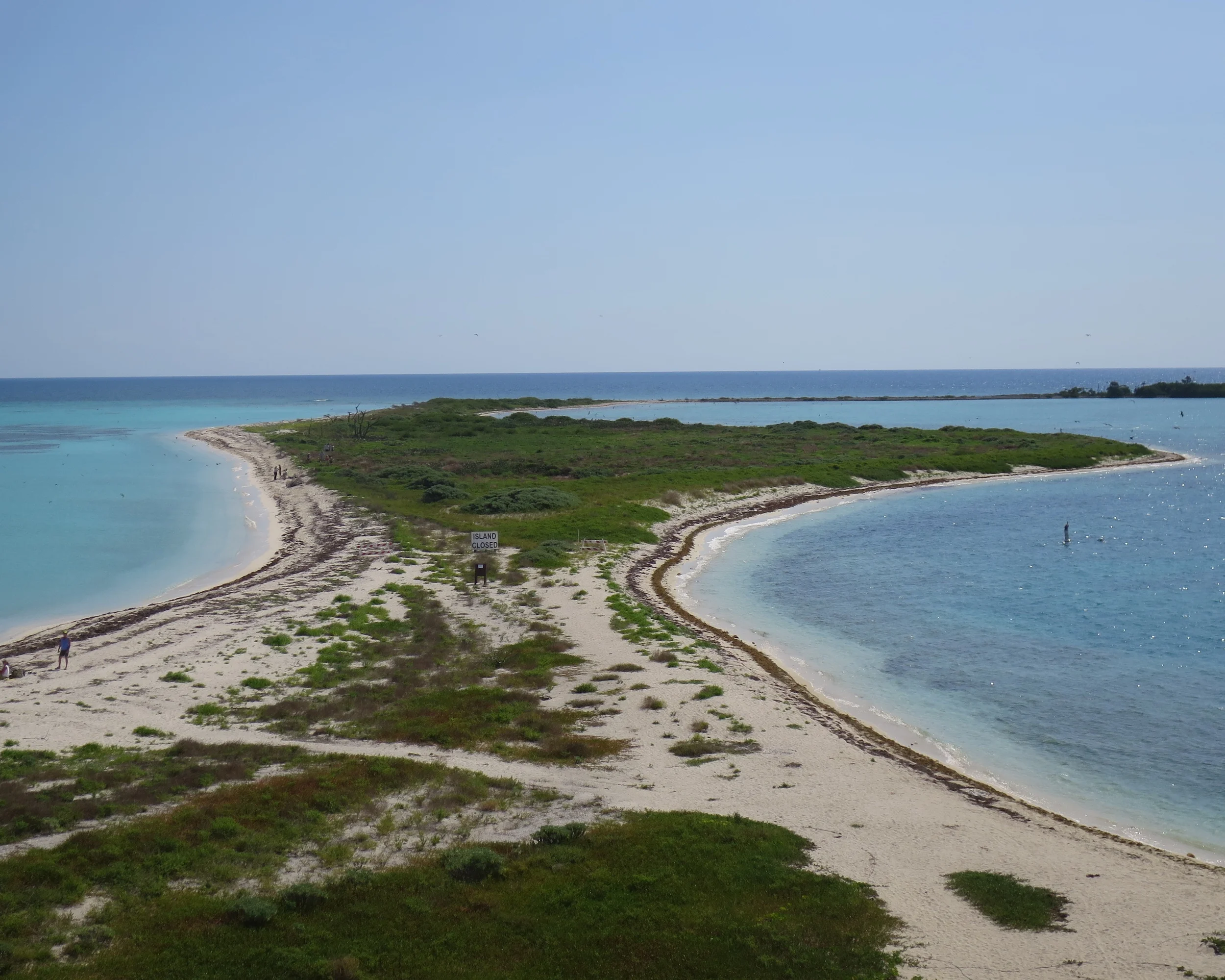 Bush Key is closed to visitors (except scientists) during nesting season as thousands of sooty terns lay eggs in the sand. Luckily for campers, the unholy bird-squawk racket quiets at night.