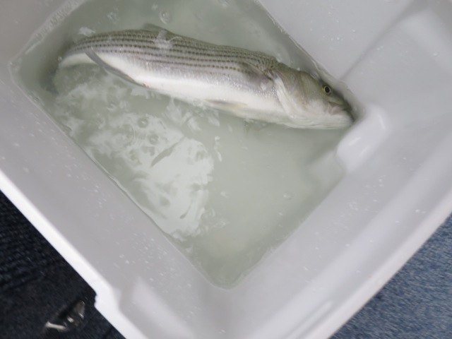 website 2014 - 808.jpg