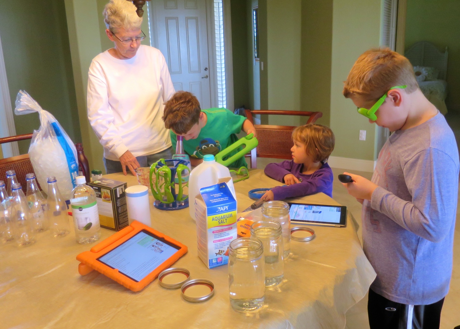 The Science Fair