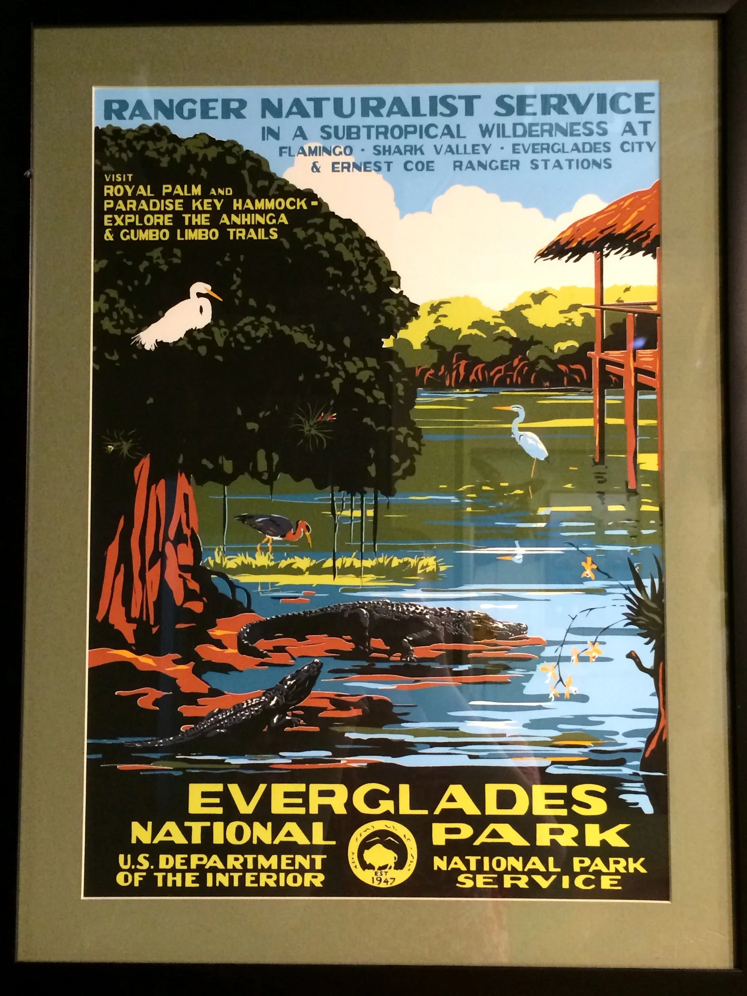 The Everglades
