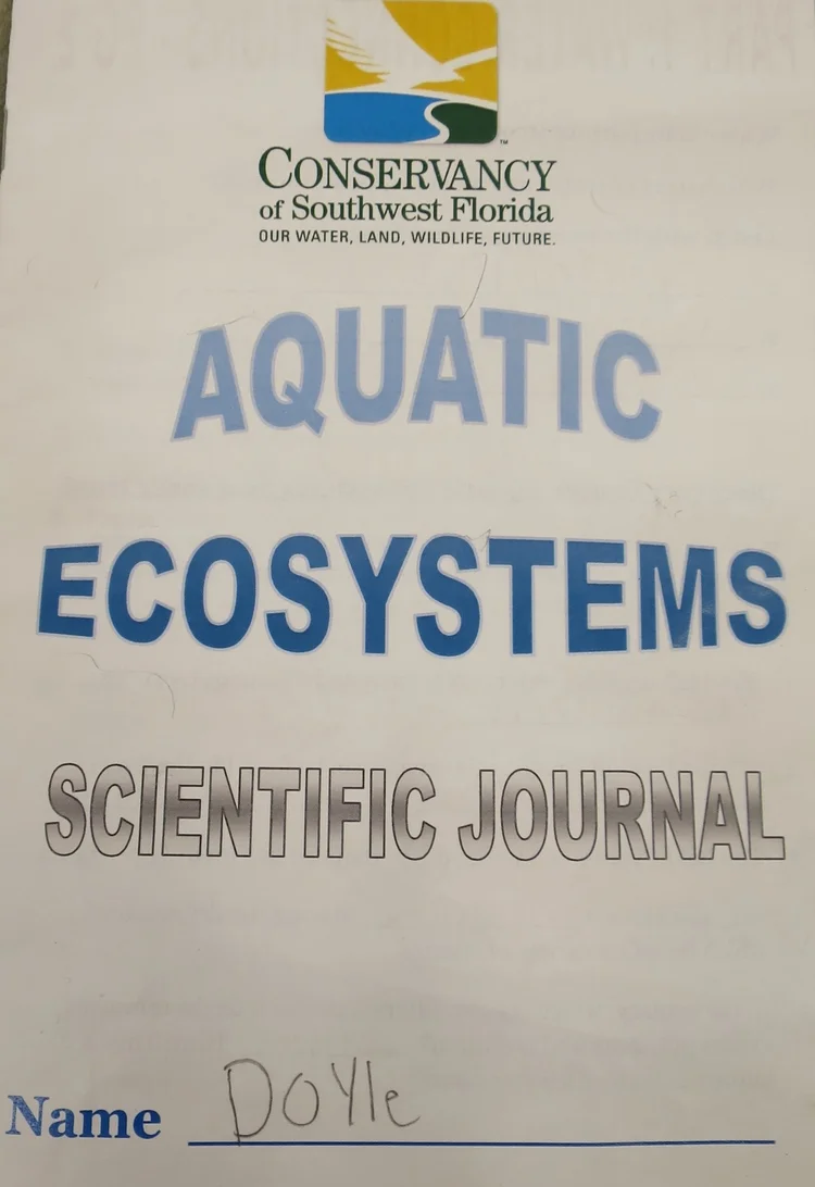 Mangroves, Everglades, Aquatic Ecosystems