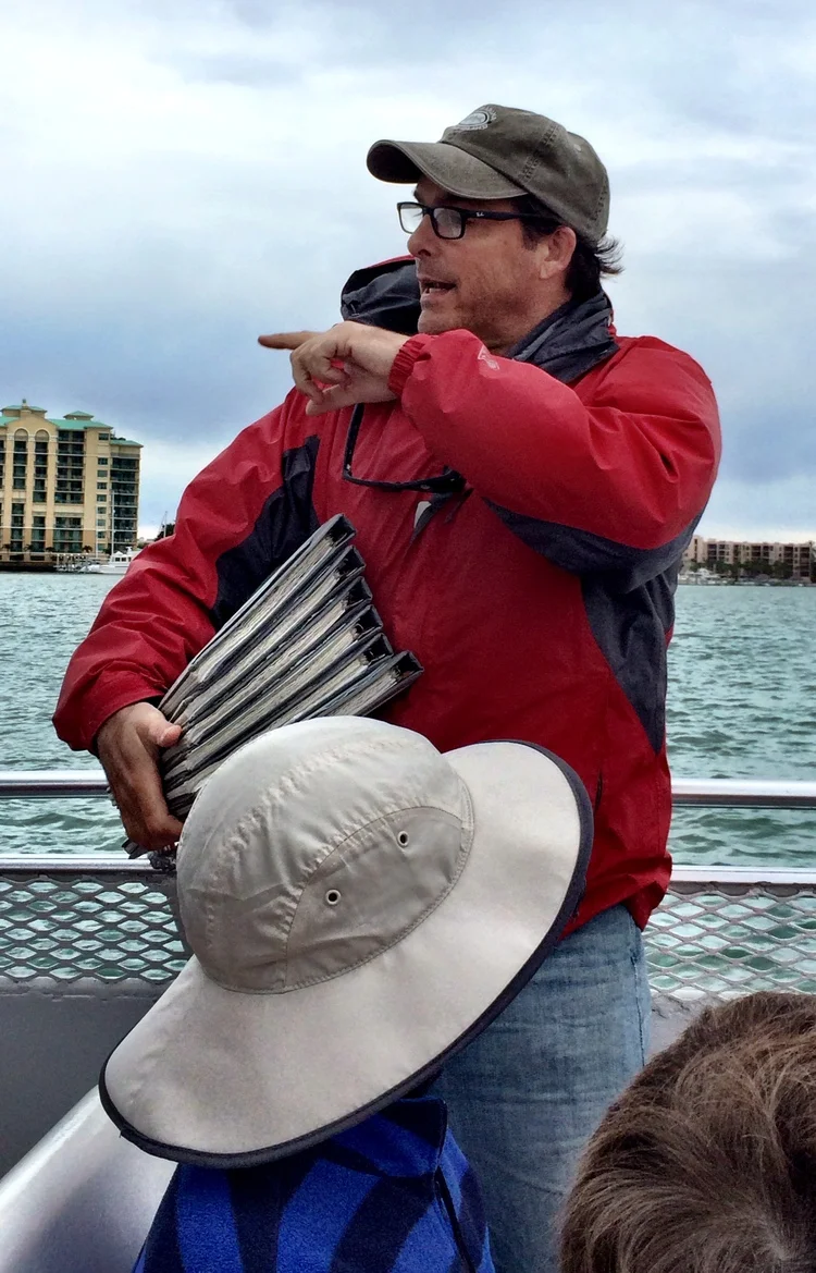 Dolphin Spotting