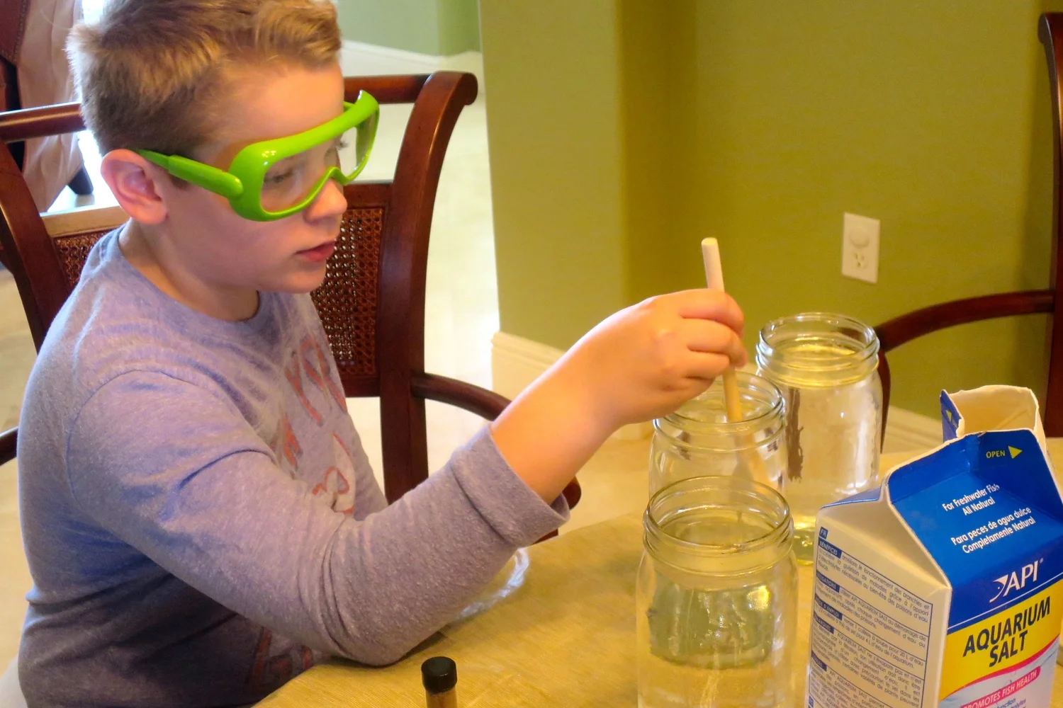 Brine Shrimp, Anyone? {Science Fair}