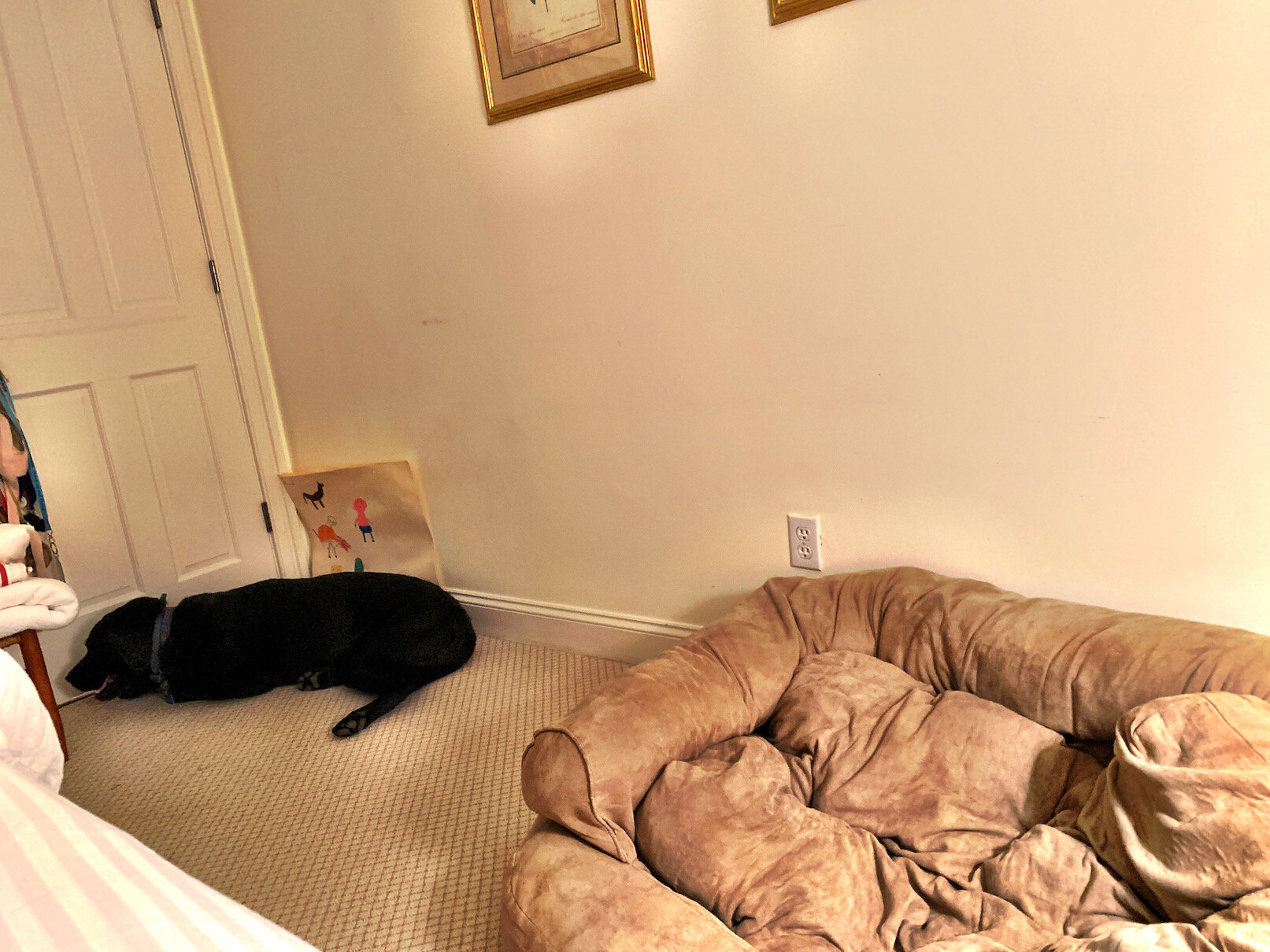 “Glad I hauled the bed up for him,” Doyle texted me.