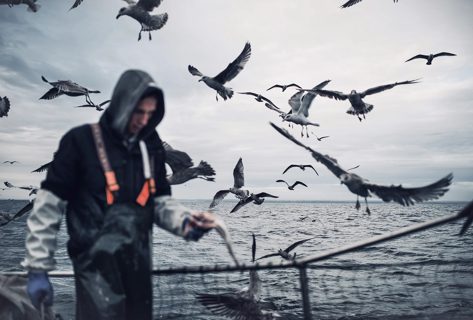 MarderFisherman.jpg