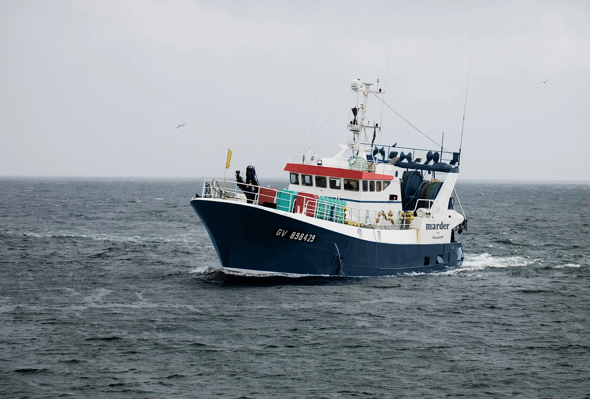 sdfs-03 copy.jpg