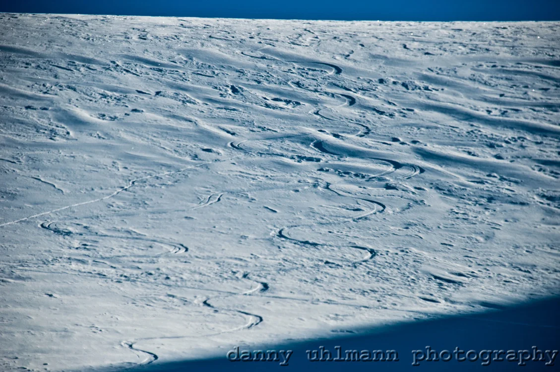_dsc3256.jpg