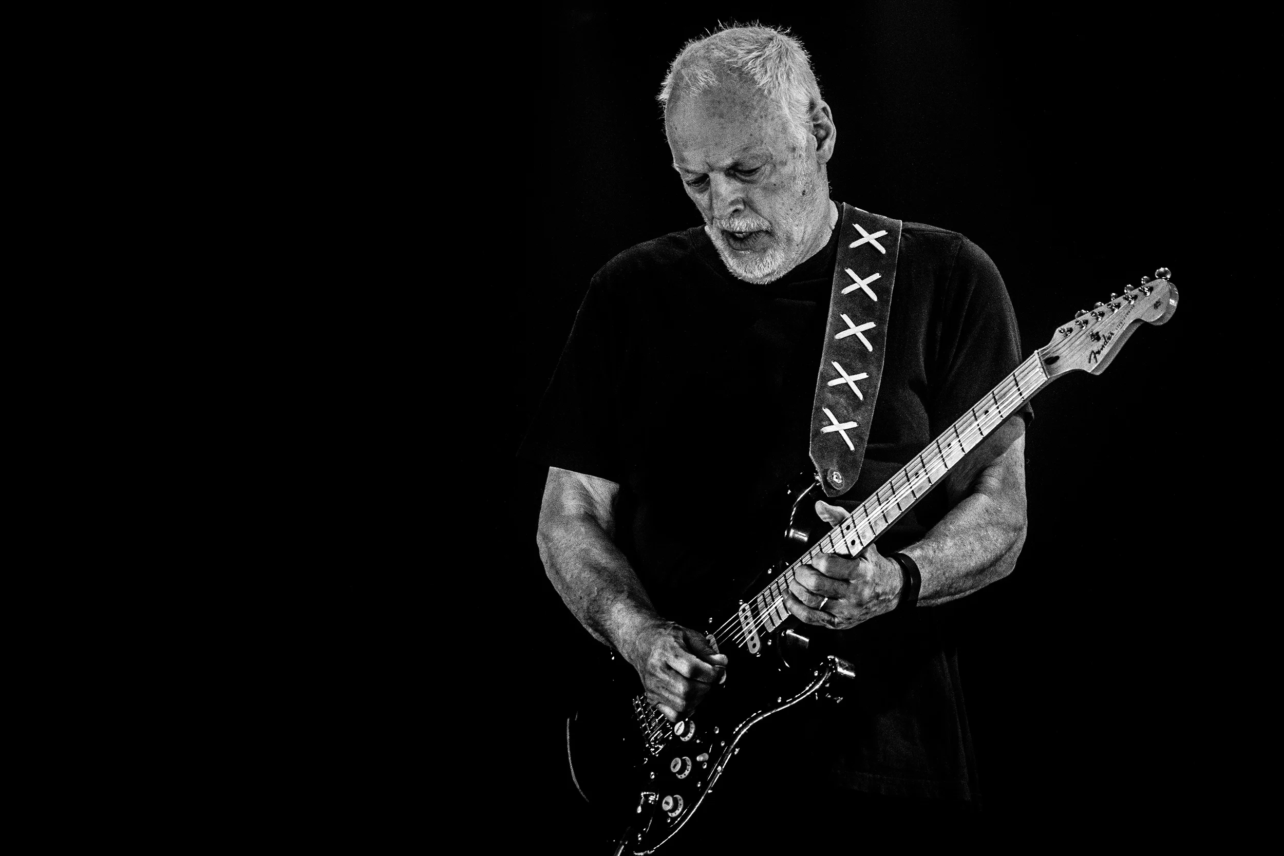 David Gilmour
