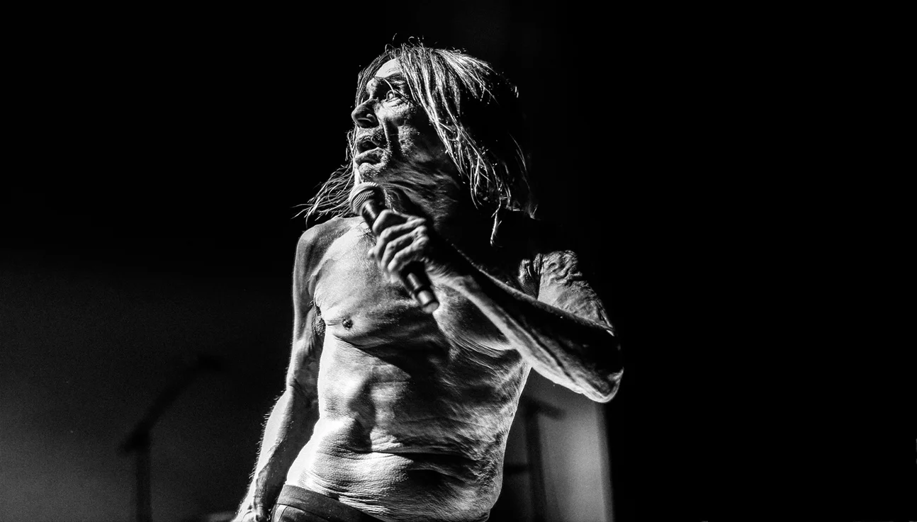 IGGY_.jpg