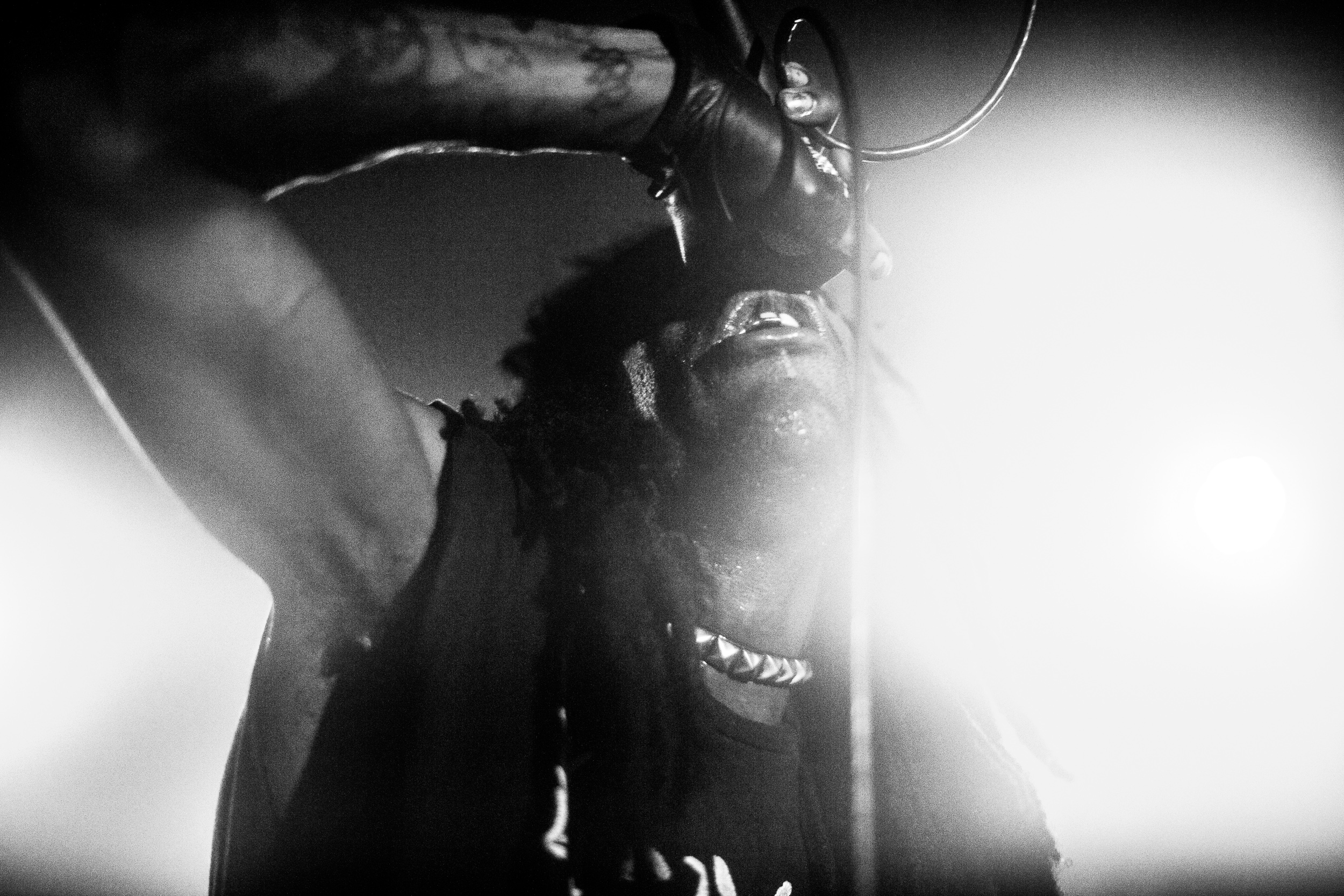 afcortes_ho99o9-2165.jpg