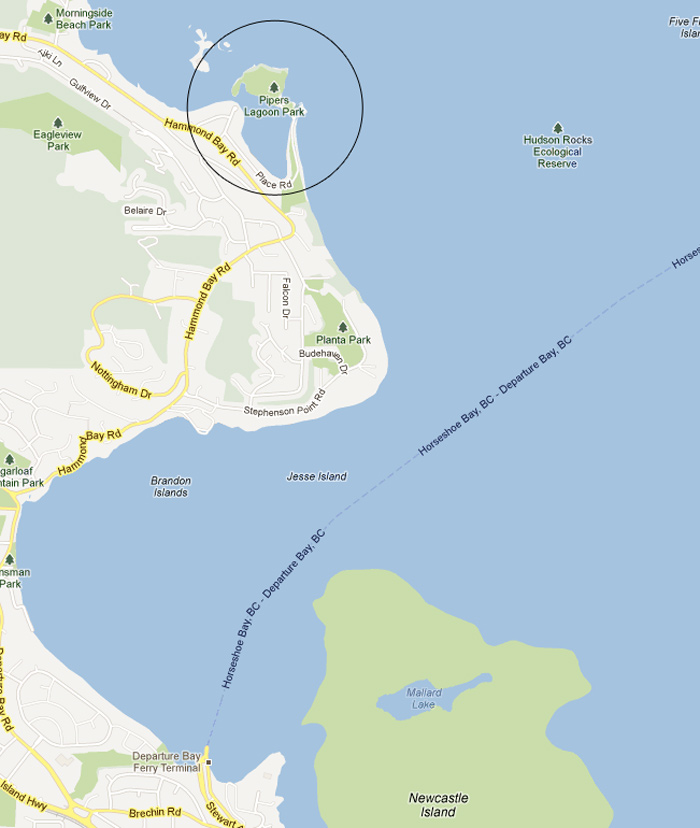 Map.jpg