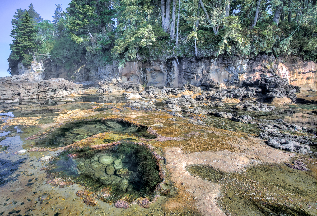 BotanicalTwo Pools.jpg