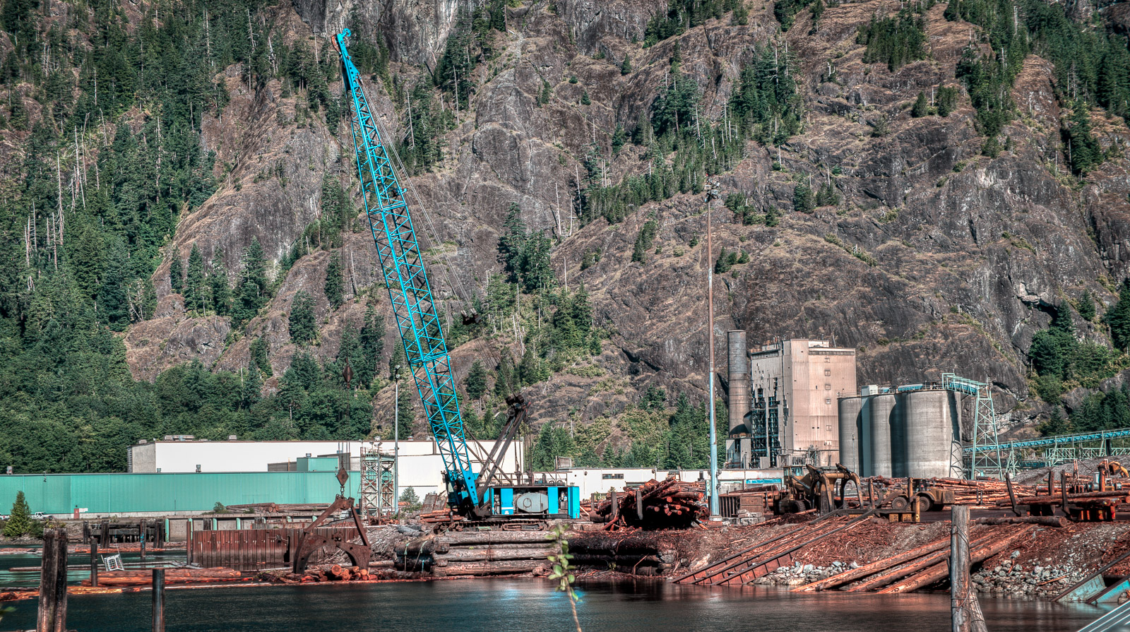 Here is the heart of business. A log sorting shoreline. Logs come in by trucks and by water. This giant crane scoops them up for processing. Some go to local mills but I expect that many are shipped to Asia. The next shot shows a vessel awaiting to do that. (I can't confirm that it is going to Asia; it could be going to a BC mill?)