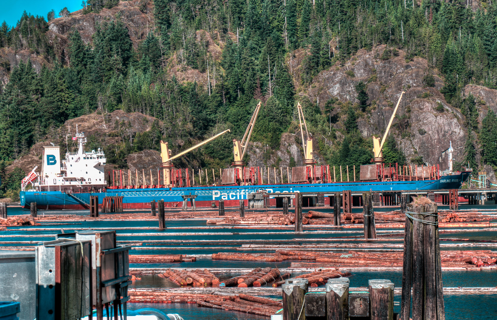 This ship can carry a lot of BC logs.