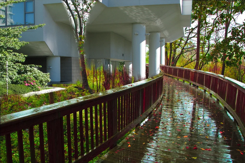 Coal Harbour Condo Tower + Wetland Boardwalk