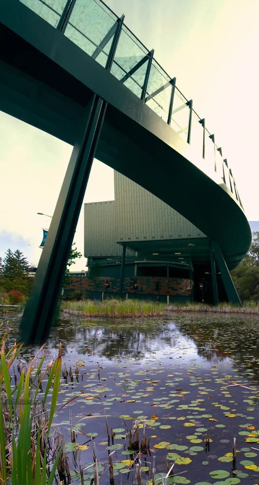 walkway mashup 1.jpg