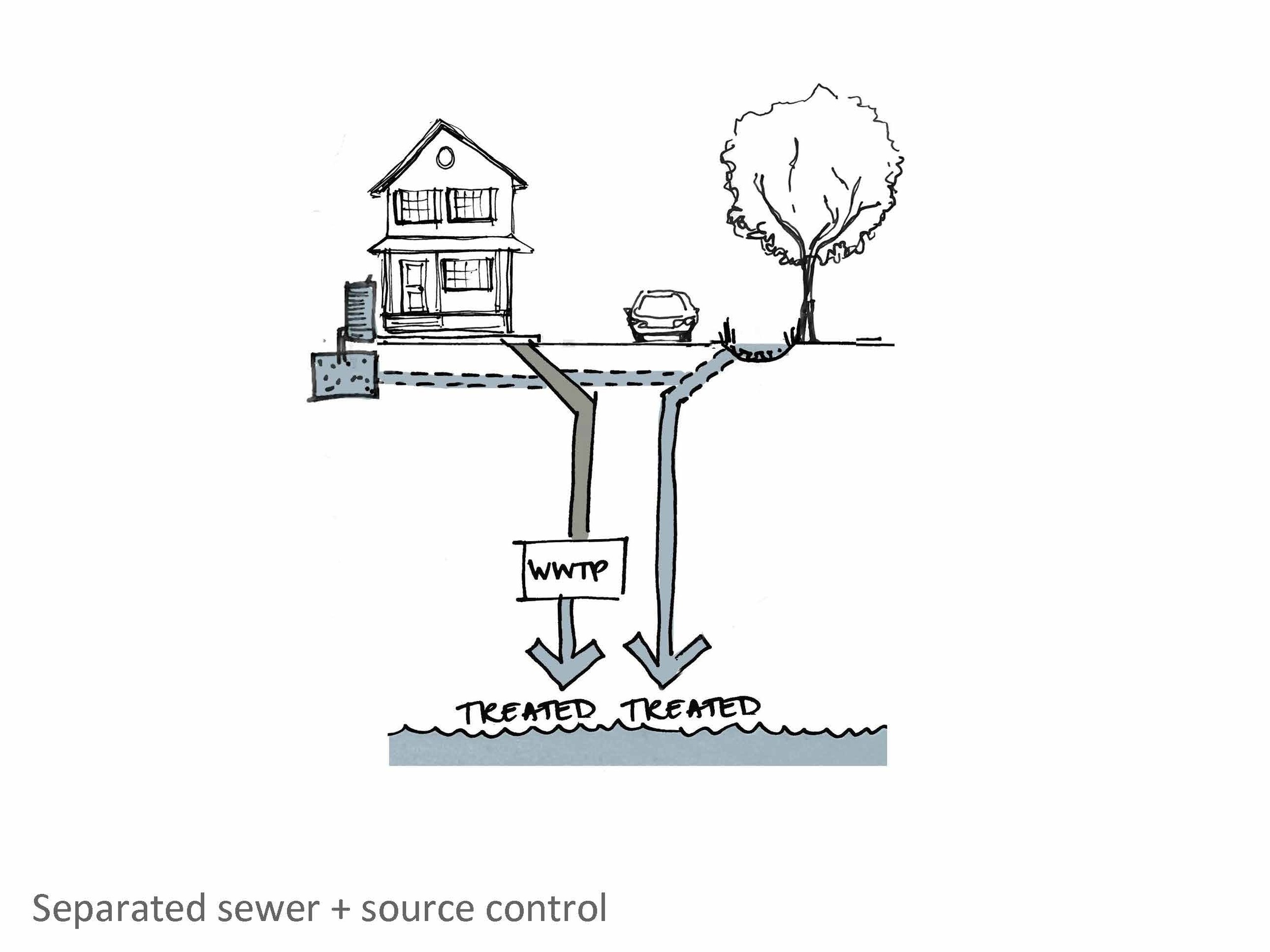 In areas of the city that already have separated sewer systems, incorporating surface-based stormwater management tools such as rainways will also have benefits, by filtering the stormwater before it is discharged to the ocean.