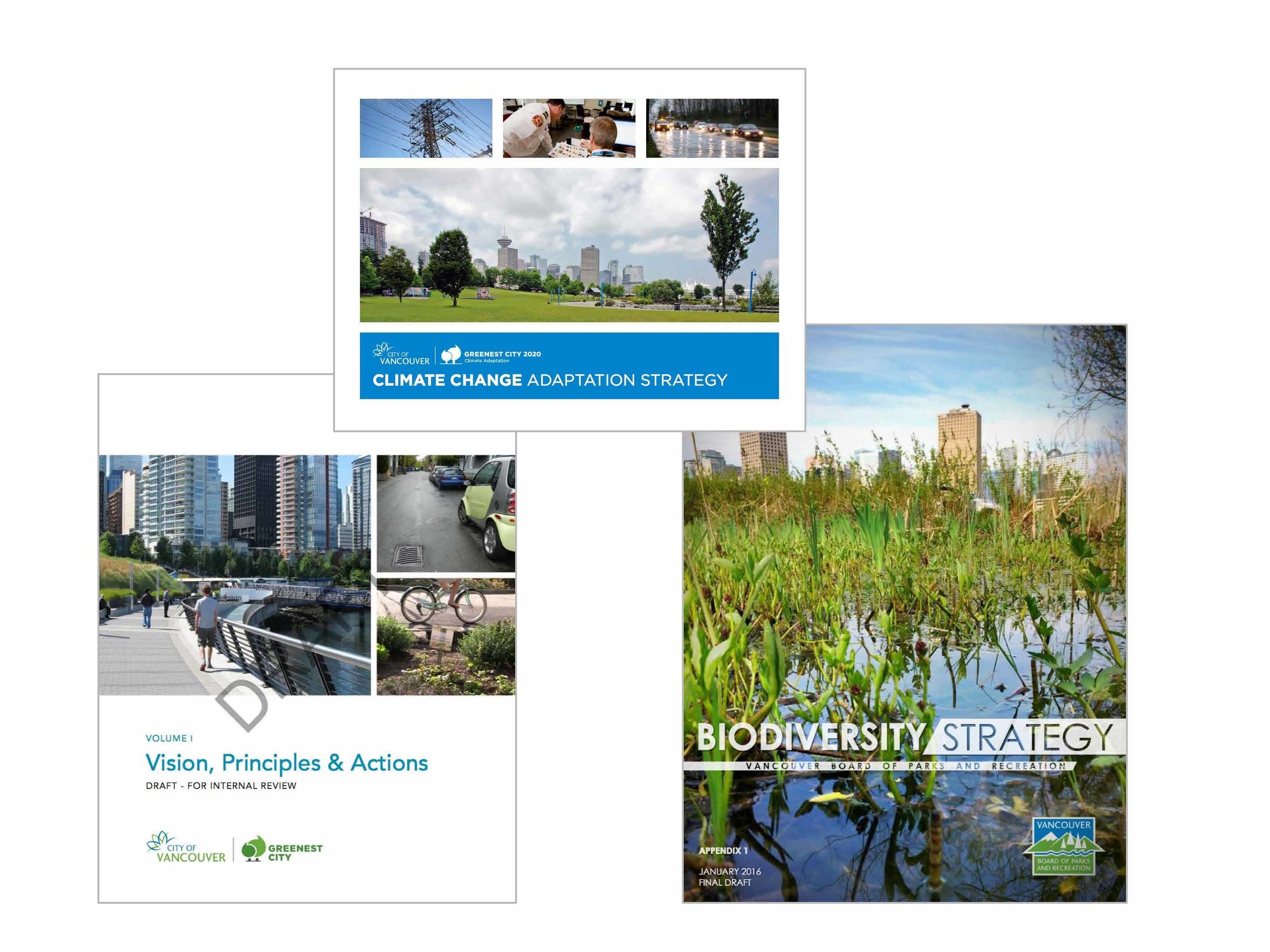  Until recently there hasn't been an overarching City policy to guide projects like the Rainway, however this might be changing with the IRMP, Climate change adaptation strategy, and Biodiversity Strategy 