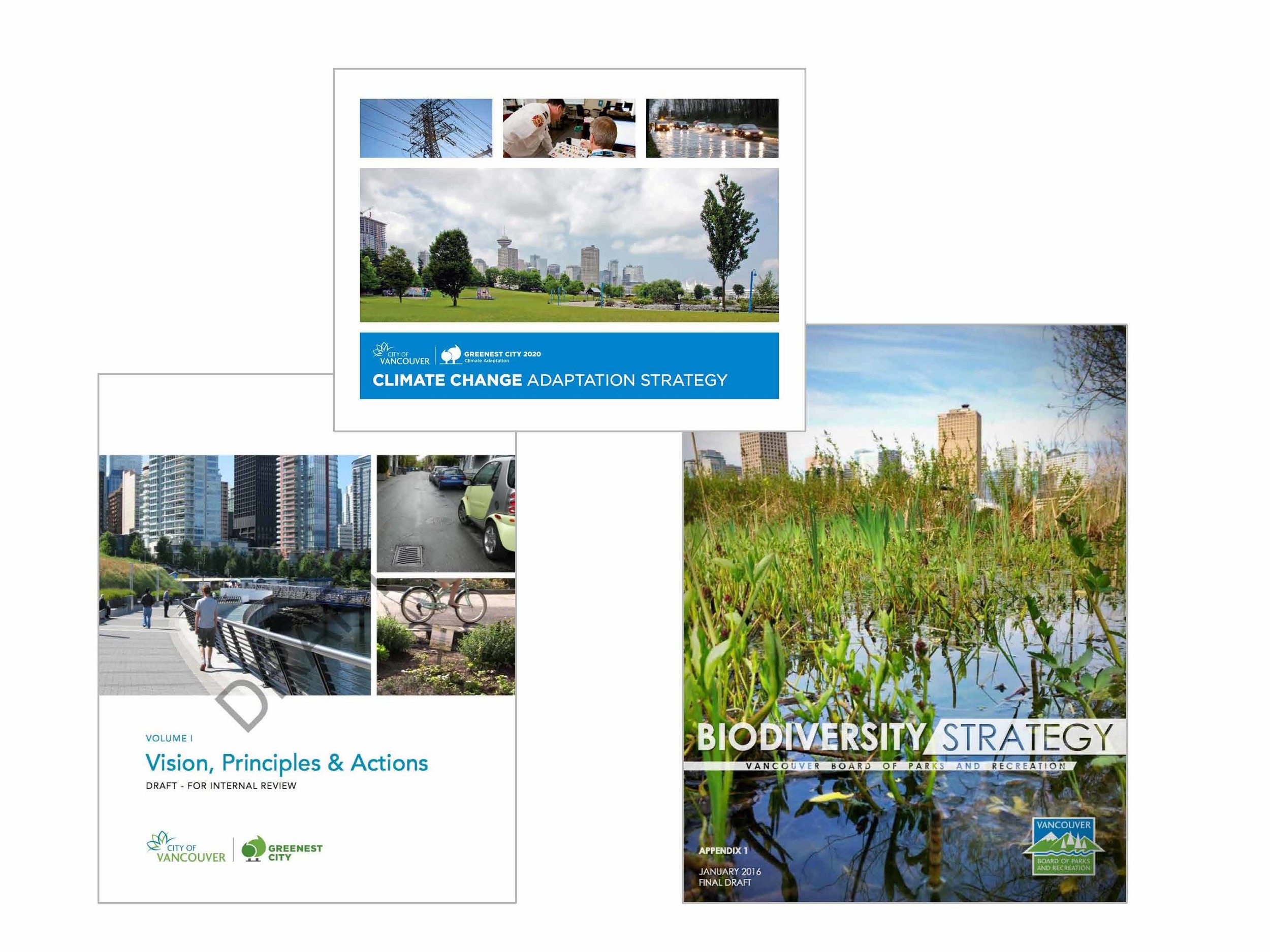 Until recently there hasn't been an overarching City policy to guide projects like the Rainway, however this might be changing with the IRMP, Climate change adaptation strategy, and Biodiversity Strategy