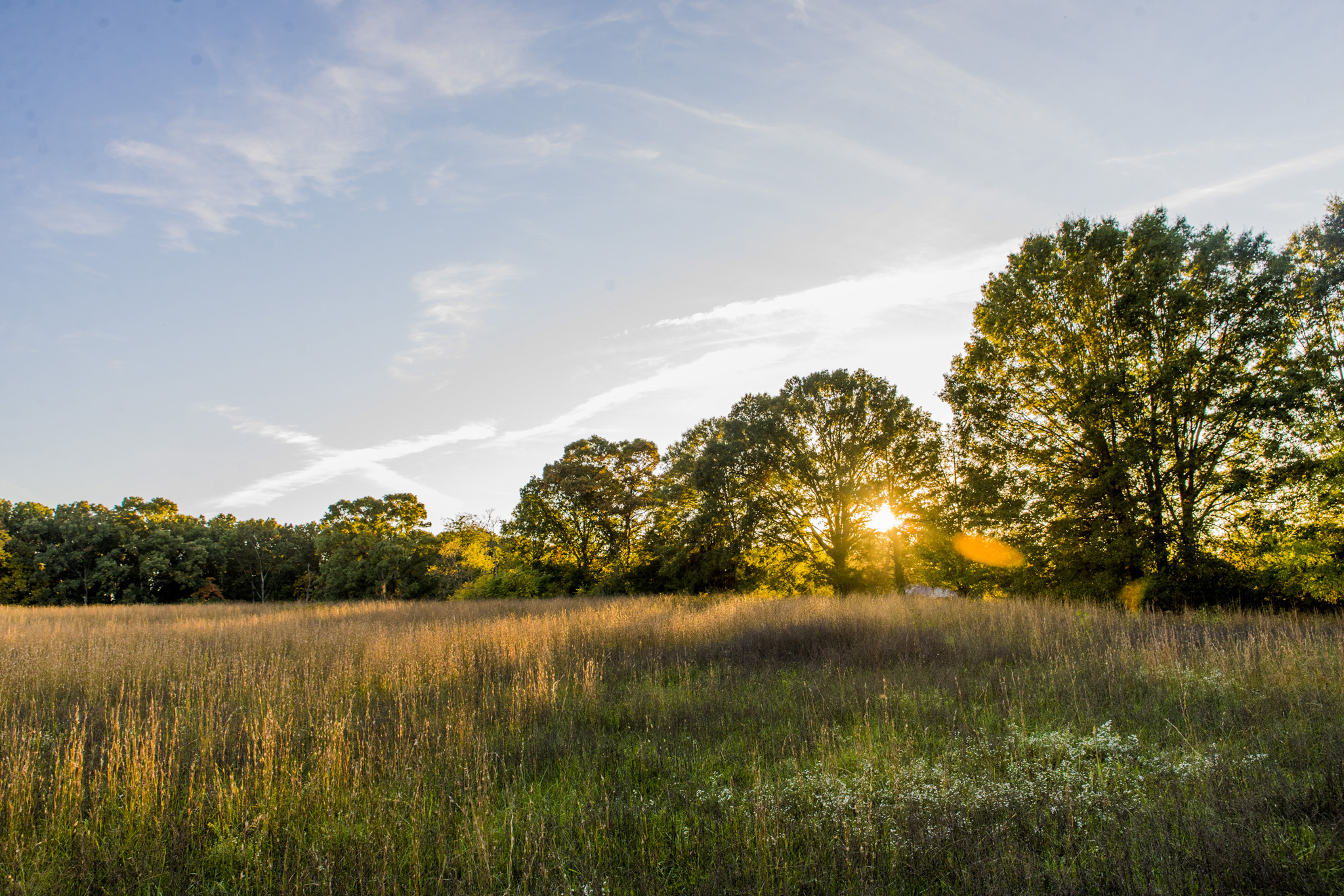 field_barn_engagement_session_sunset_golden_romantic_rustic_lynchburg_va035.jpg